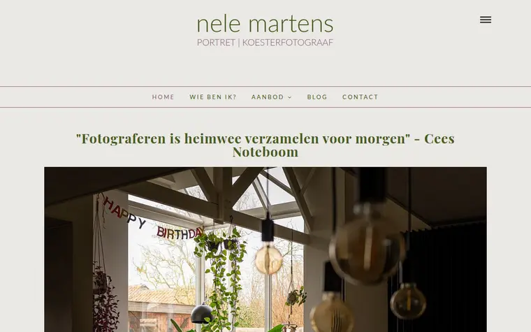Website van Nele Martens